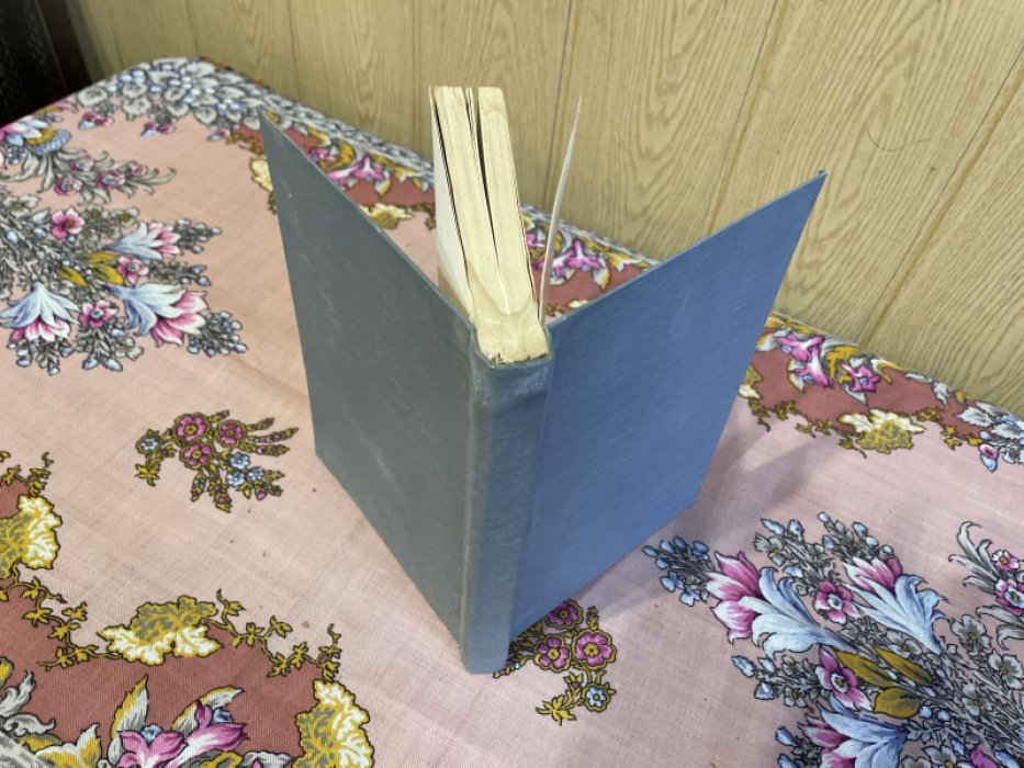 Альманах. Книга 5.