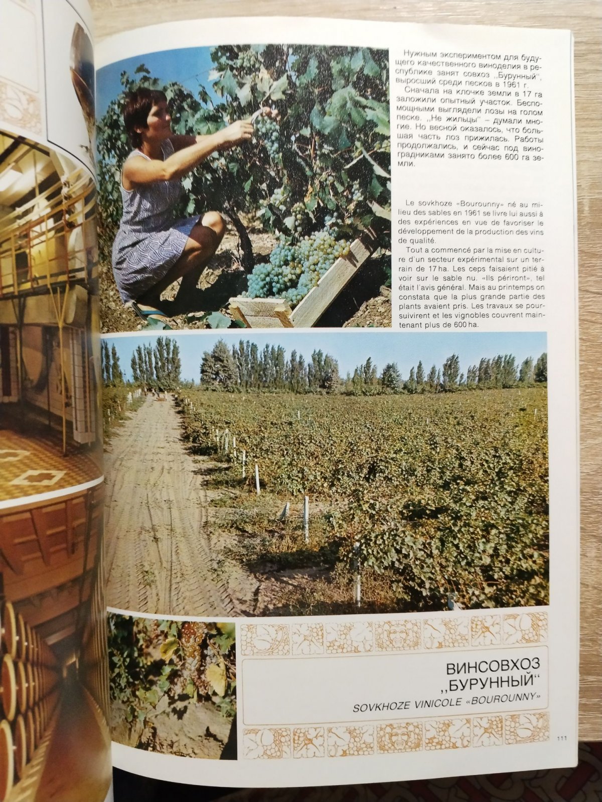 Вина России./ Les vins de Russie