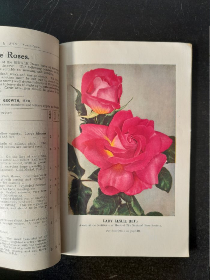 Rose Catalogue. Autumn, 1930 — Spring, 1931. Also Fruits, Bulbs, Trees, Shrubs Herbaceous and other Plants.