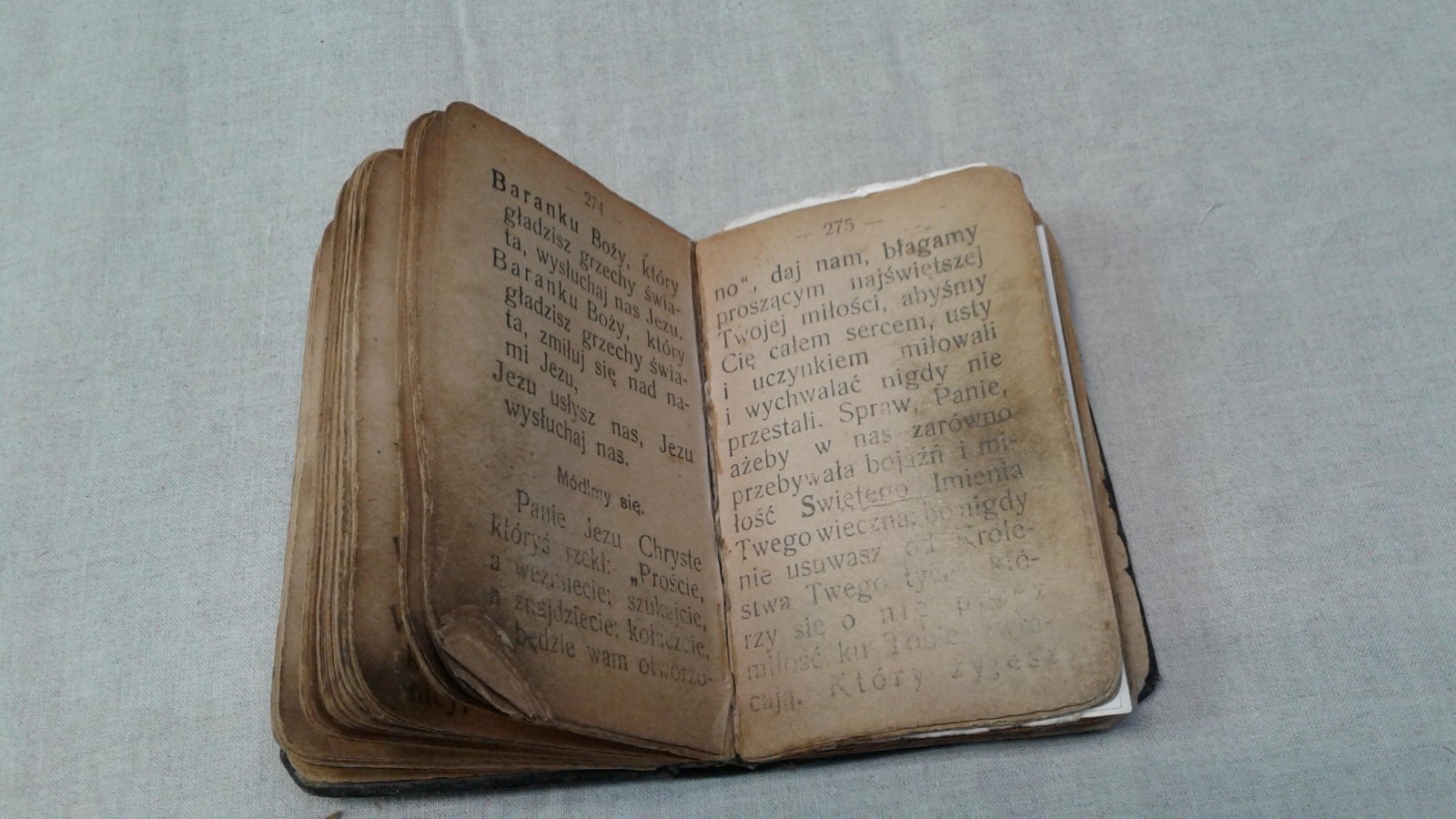 Zdrowas Marja. Радуйся, Мария. Сборник молитв Богородице.