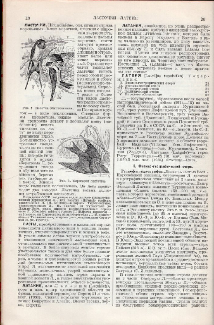 Большая Советская Энциклопедия (БСЭ). В 65-ти томах. Первое издание. Том 36 (тридцать шестой) Ларте - Лилло
