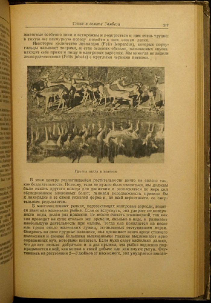 Ливингстон Д., Ливингстон Ч. Путешествие по Замбези с 1858 по 1864 гг.
