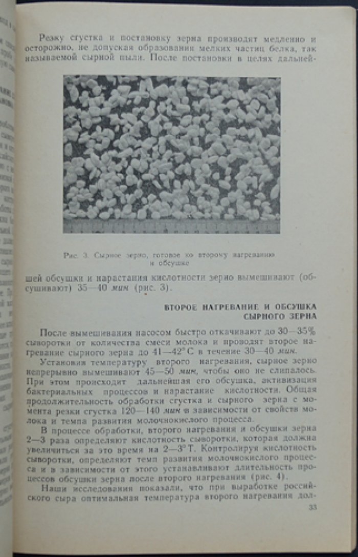 Николаев А. Российский сыр (научные основы технологии сыра).