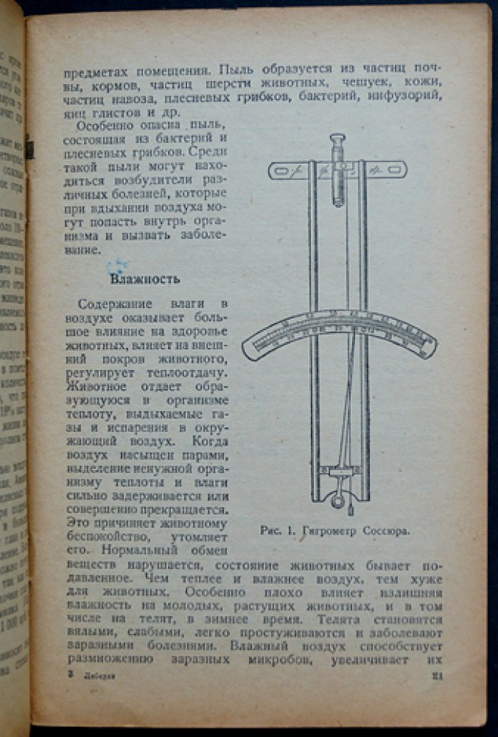 Лебедев И. А. Выращивание молодняка молочного скота.