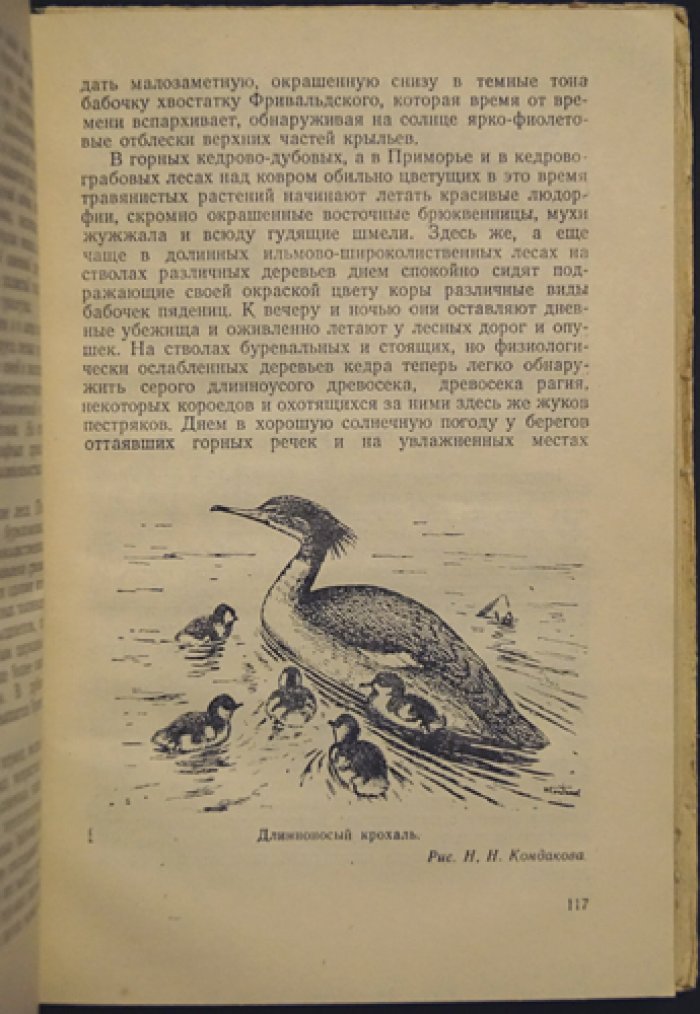 Куренцов А. И. Животный мир Приамурья и Приморья.