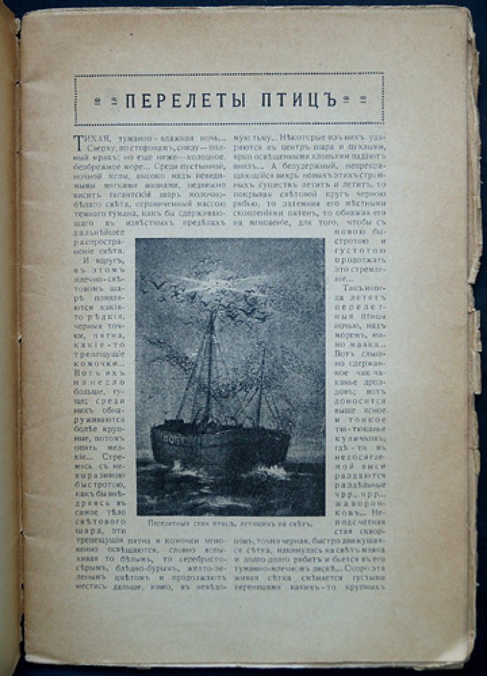 Анфилов В.К. Перелеты птиц.