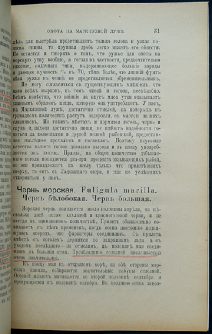Наша Охота. 1912 г. Книга XV — Август