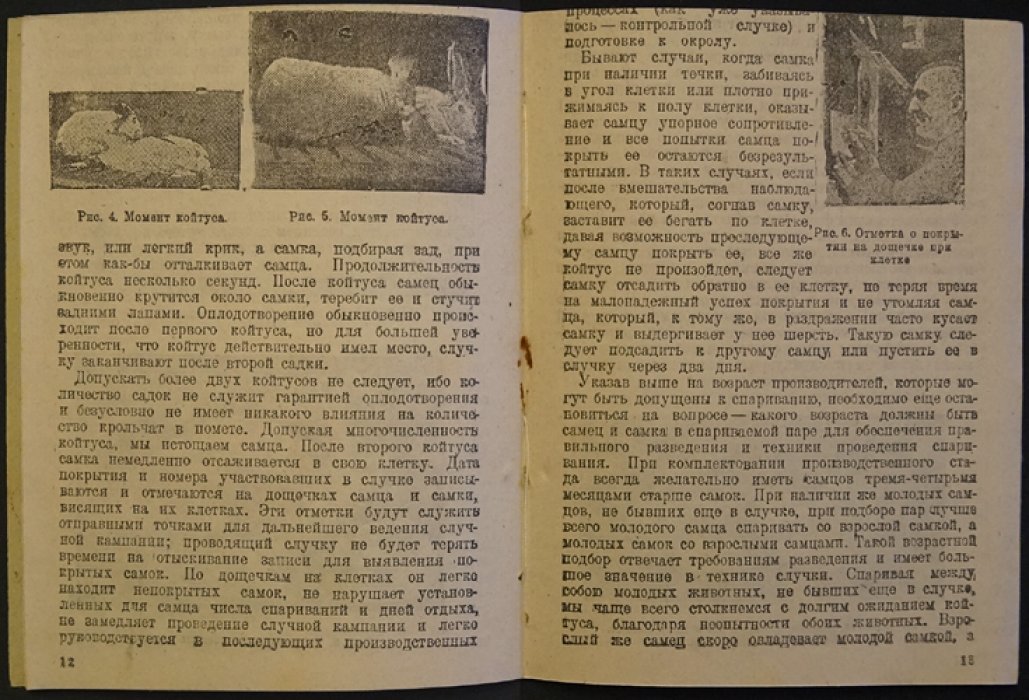 Пахомов В.П. Как проводить случку и подготовку к окролу.