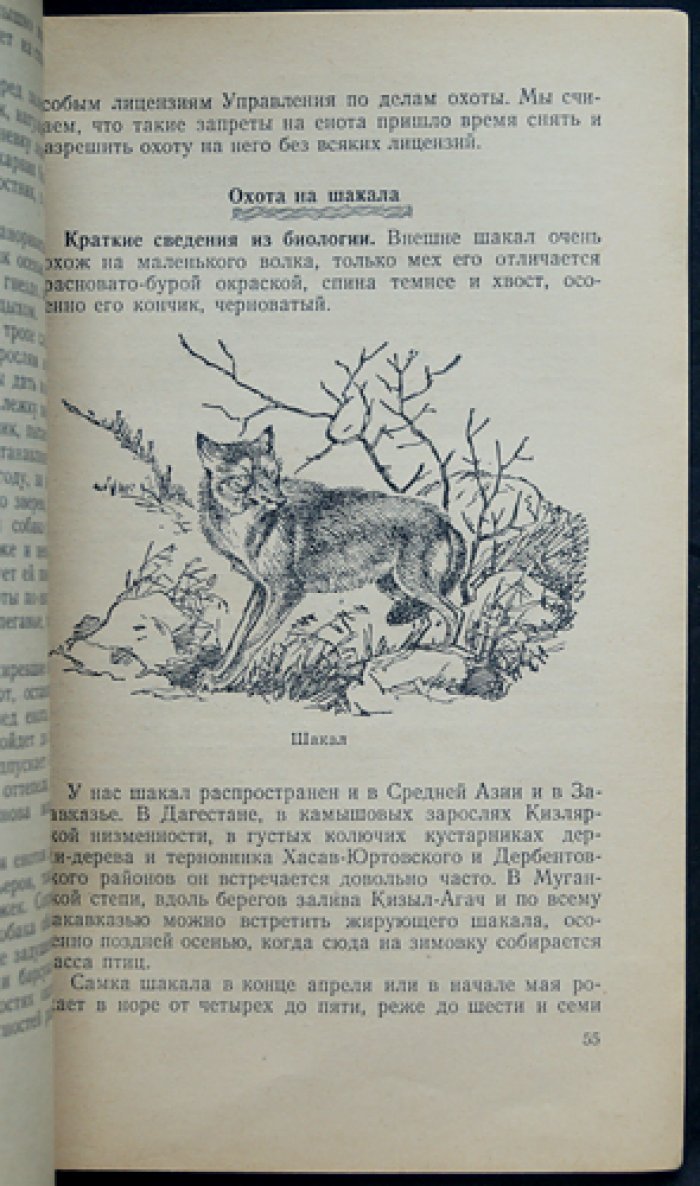 Саулин П.О. Охота на хищных зверей.
