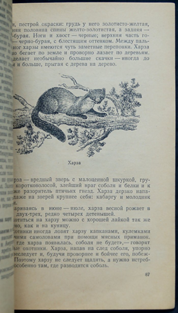 Саулин П.О. Охота на хищных зверей.