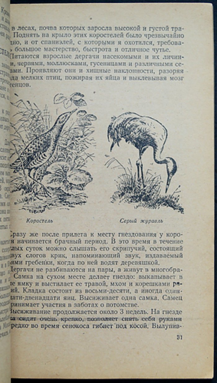 Герман В.Е. Охота на болотную и луговую дичь.