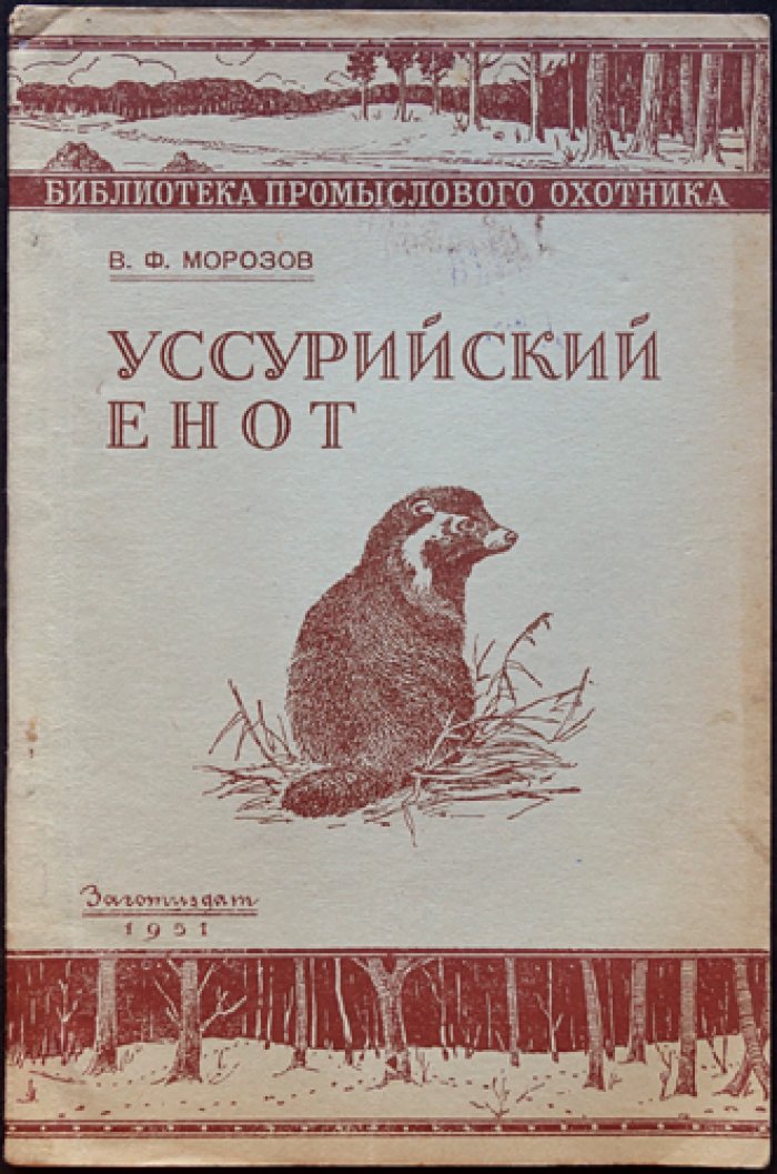 Морозов В.Ф. Уссурийский енот.