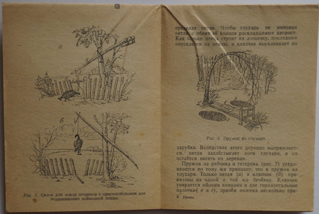 Пенин М.И. Петли и ловушки для ловли птиц и зайцев.