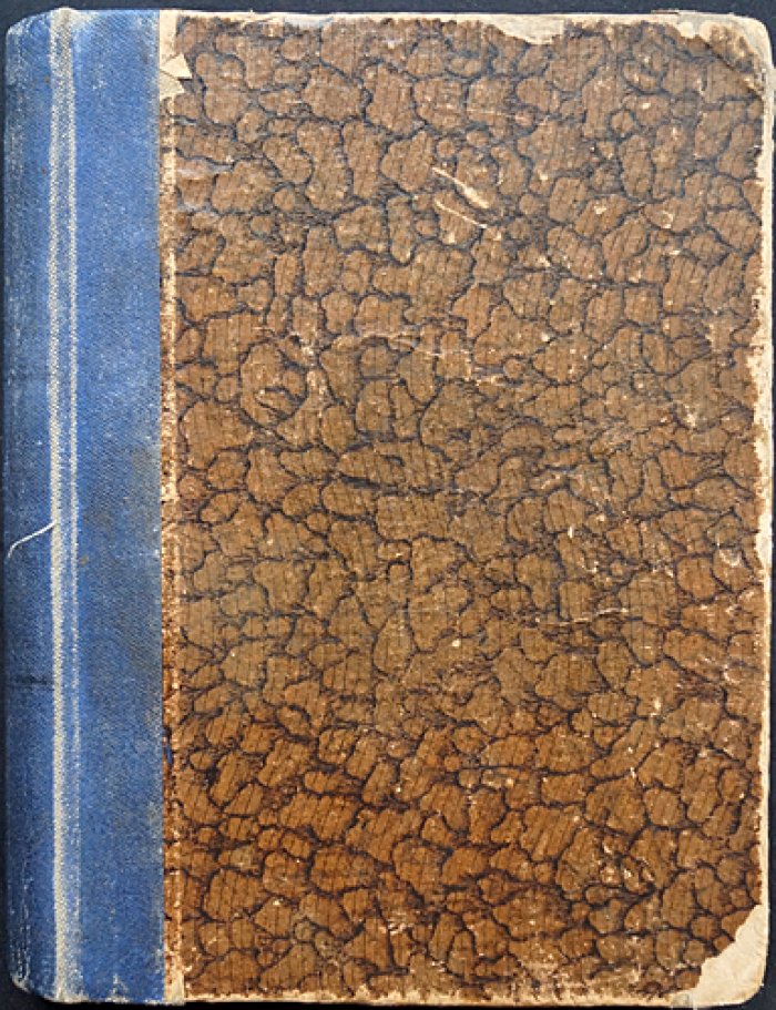 Мережковский Д. С. Христос и Антихрист. III. Антихрист. (Петр и Алексей).