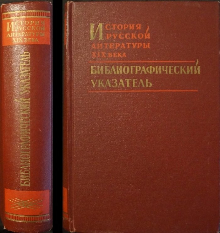 История русской литературы XIX века.