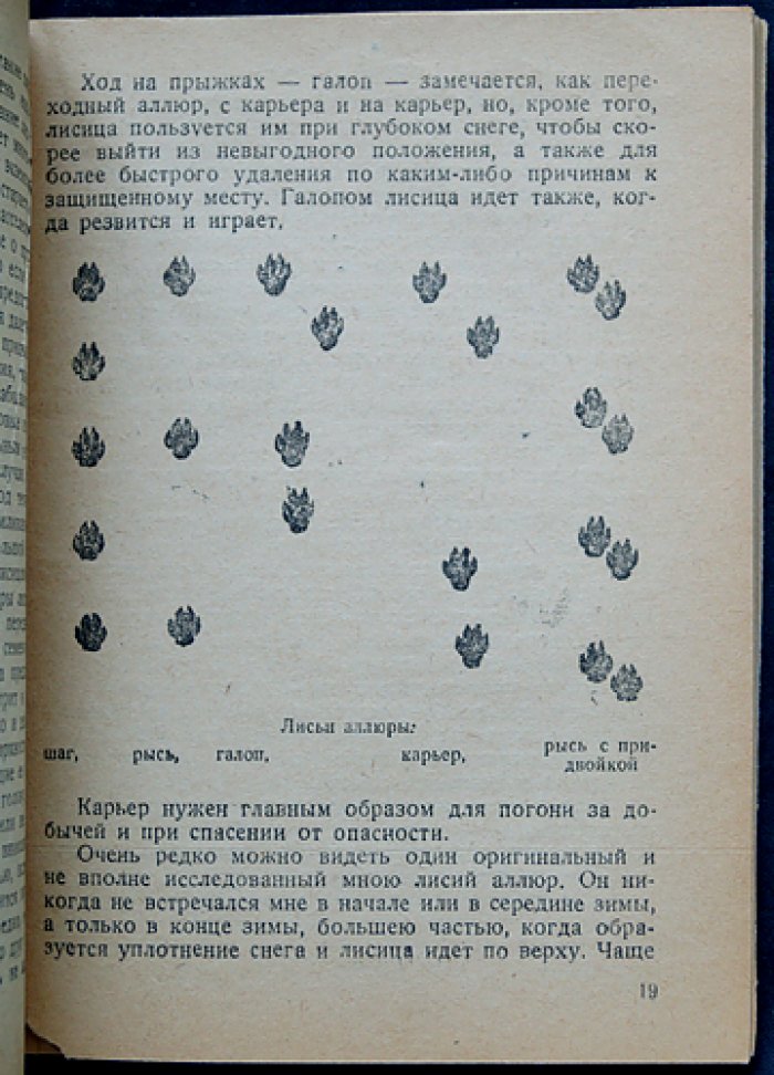 Зворыкин Н. Охота на лисиц.