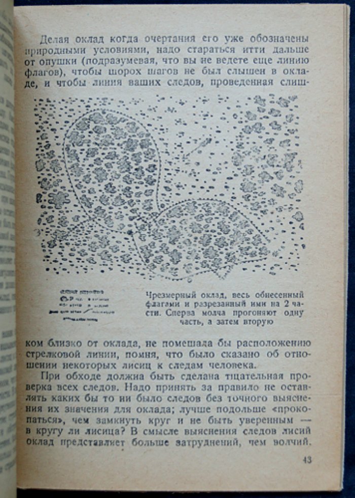 Зворыкин Н. Охота на лисиц.