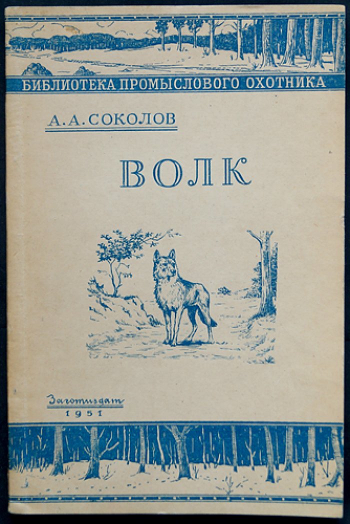 Соколов А.А. Волк.