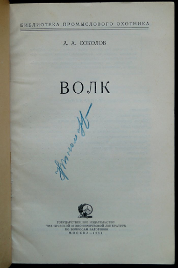 Соколов А.А. Волк.