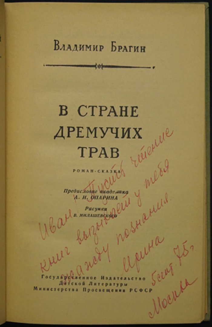 Брагин Владимир. В Стране Дремучих Трав.