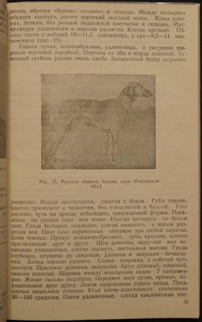 Шерешевский, Э.И. Борзые и охота с ними.