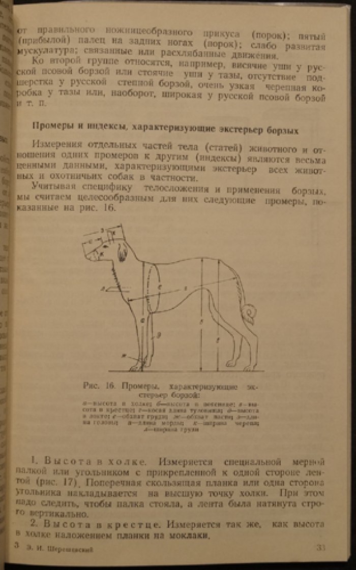 Шерешевский, Э.И. Борзые и охота с ними.