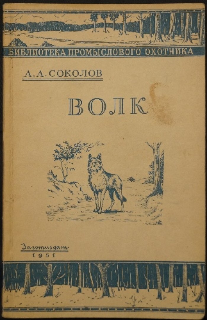 Соколов А.А. Волк.