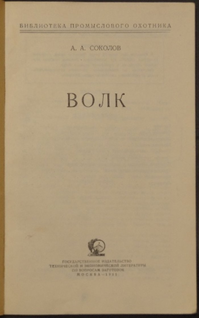 Соколов А.А. Волк.