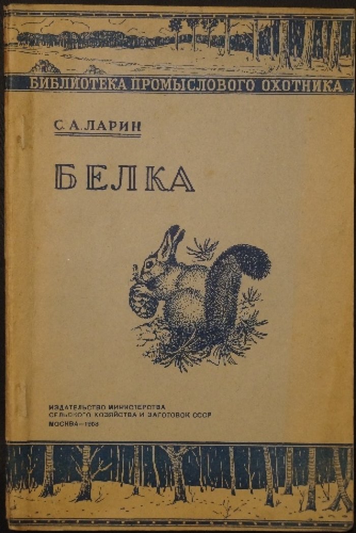 Ларин С.А. Белка.