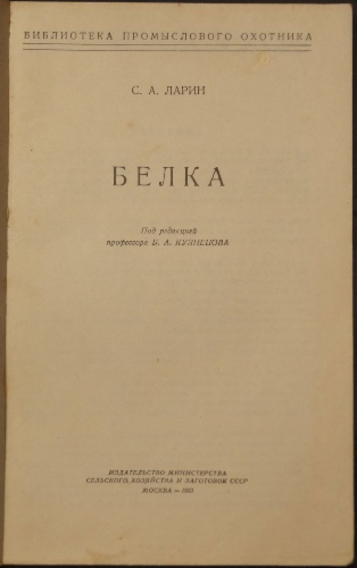 Ларин С.А. Белка.