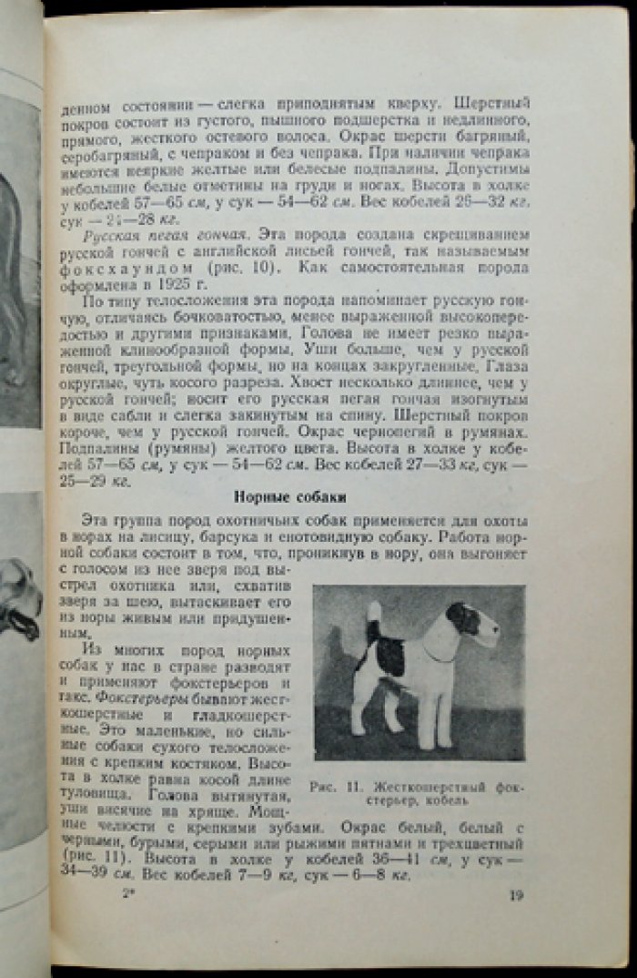 Шерешевский Э.И. Натаска, нагонка и притравка промысловых собак