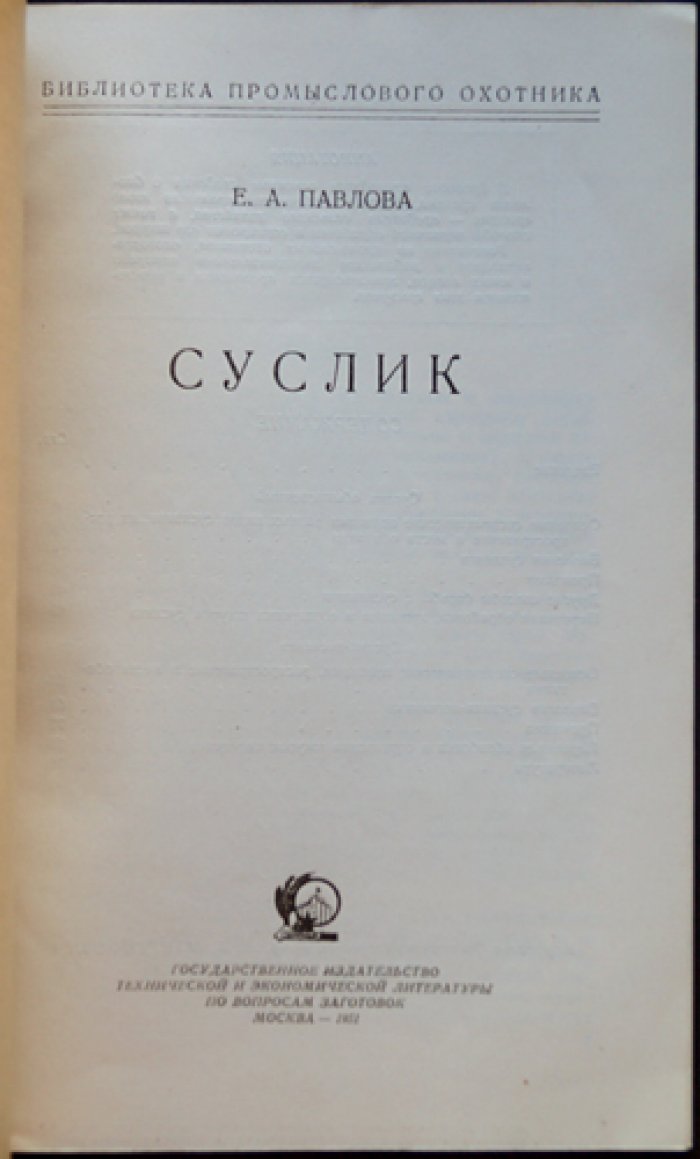 Павлова Е. А. Суслик.