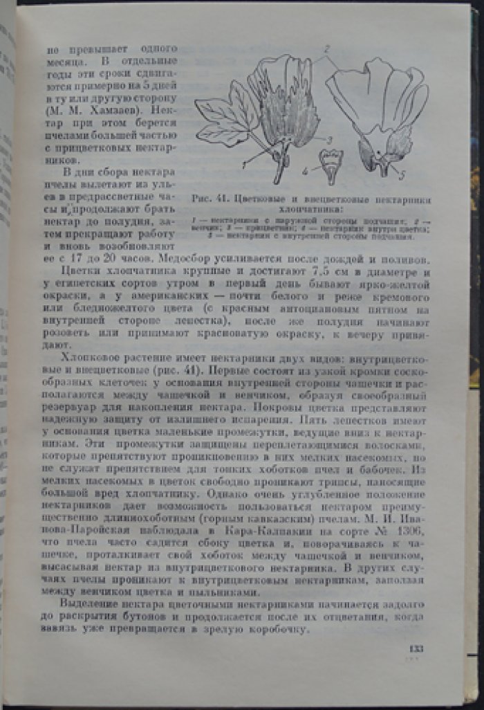 Глухов М. М. Медоносные растения.