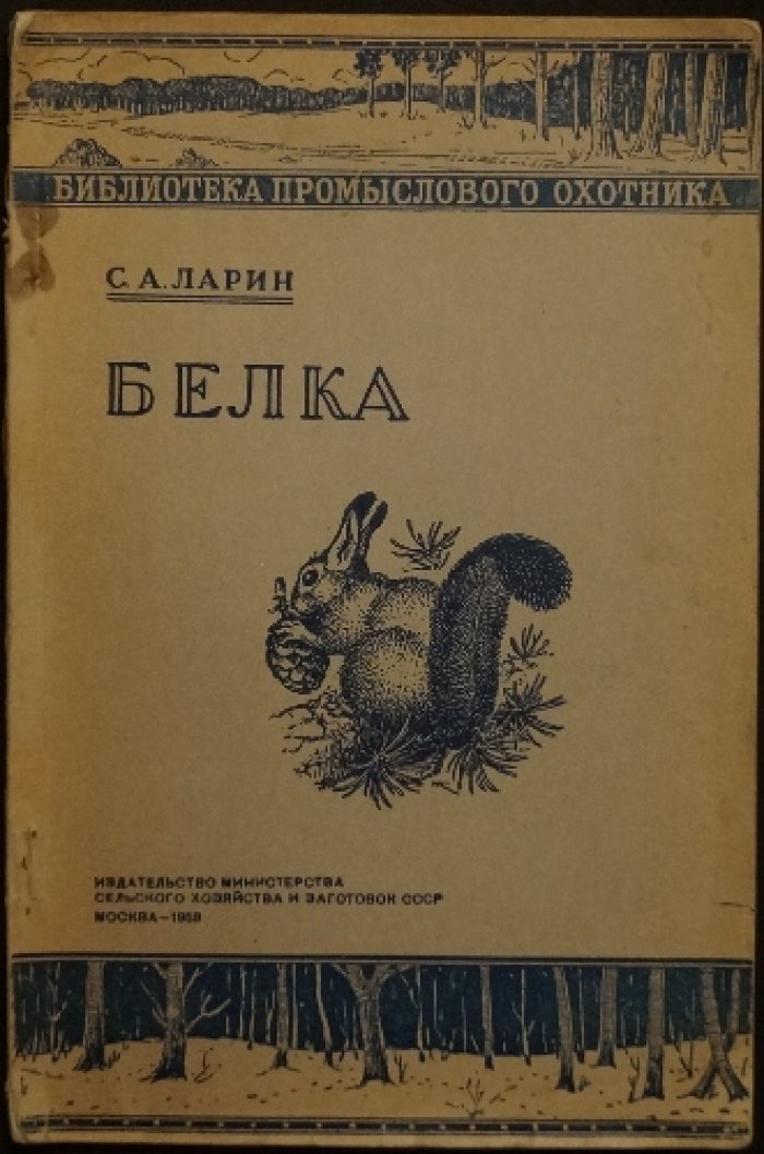 Ларин С.А. Белка.