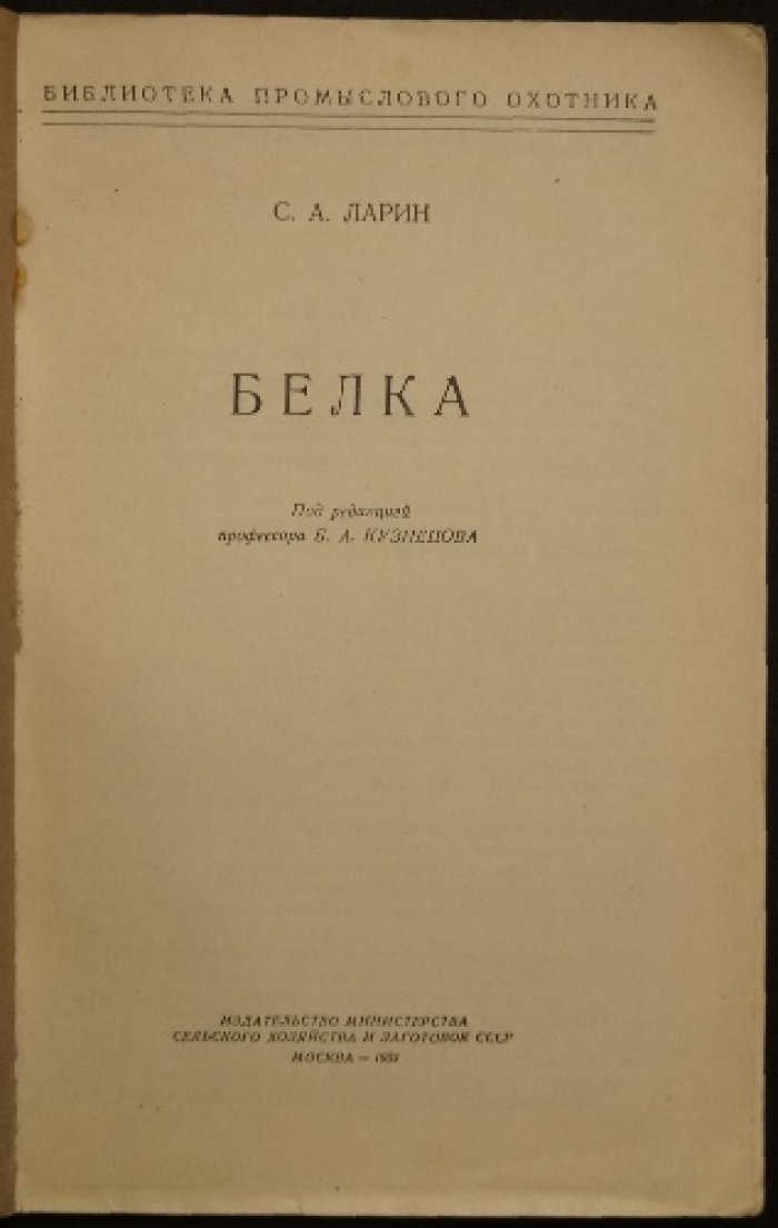 Ларин С.А. Белка.