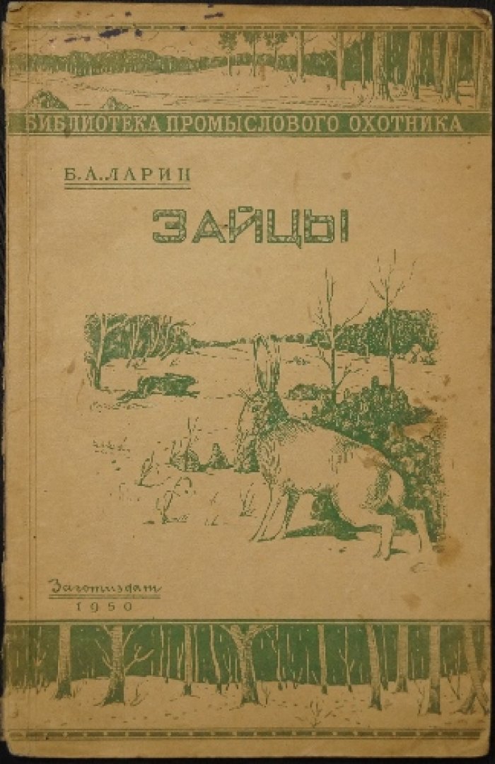 Ларин С.А. Зайцы.