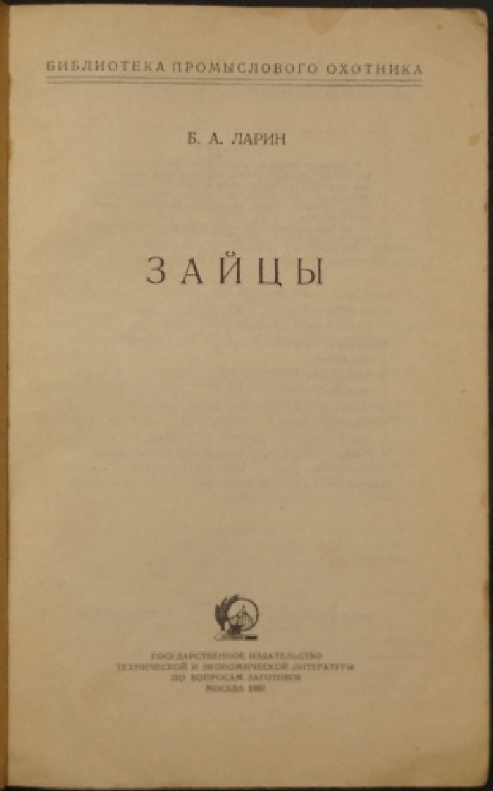 Ларин С.А. Зайцы.