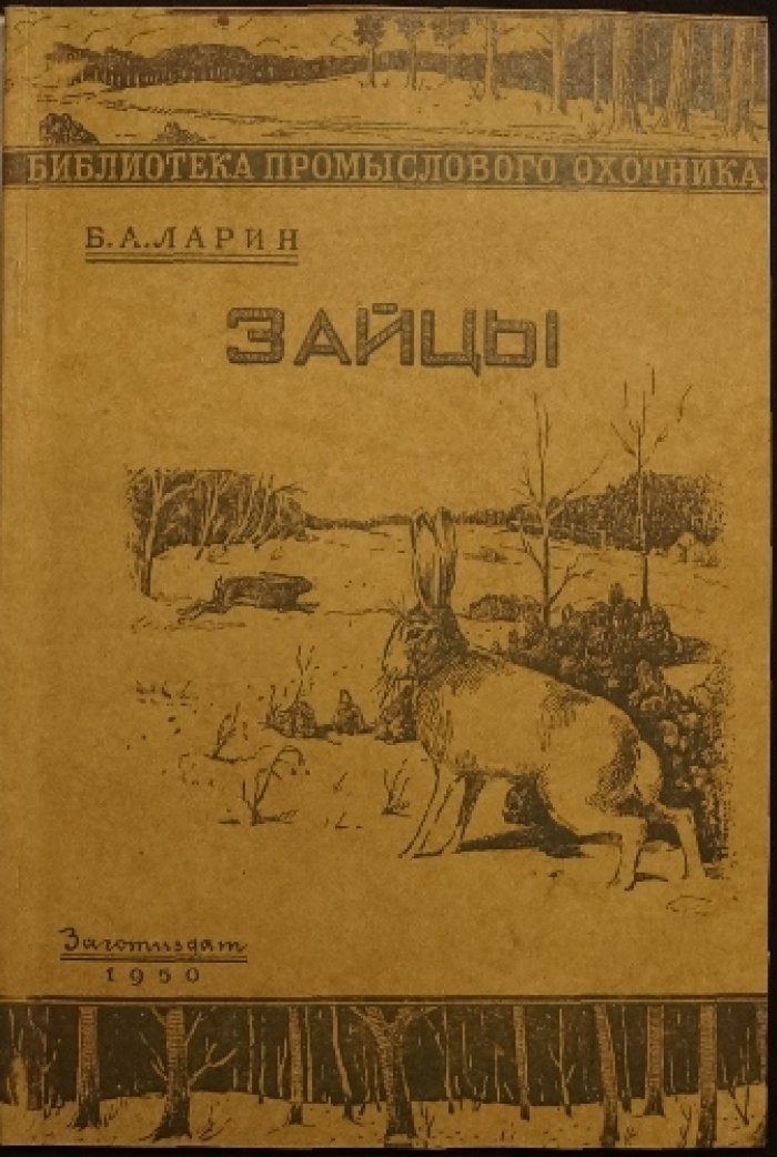 Ларин С.А. Зайцы.