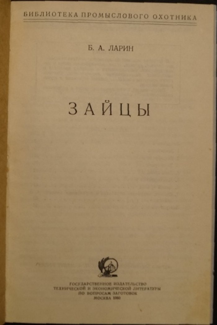 Ларин С.А. Зайцы.