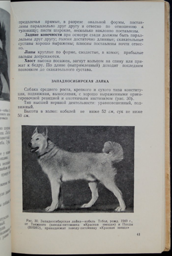 Мазовер А.П. Племенное дело в служебном собаководстве.