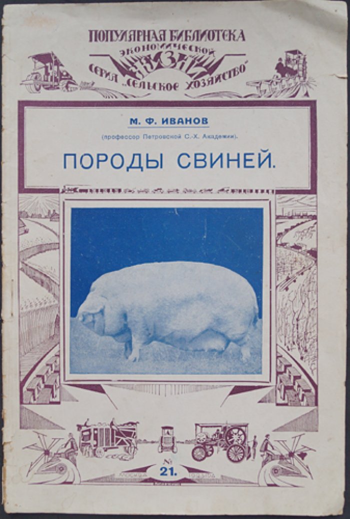 Иванов М.Ф. Породы свиней.