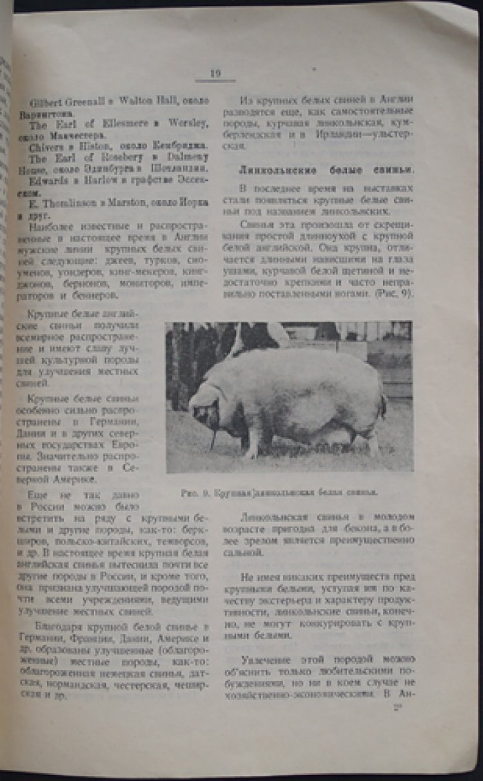 Иванов М.Ф. Породы свиней.