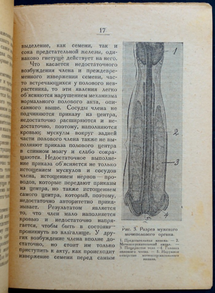 Файнгольд Л.И. Половое бессилие, его причины, предупреждение и лечение