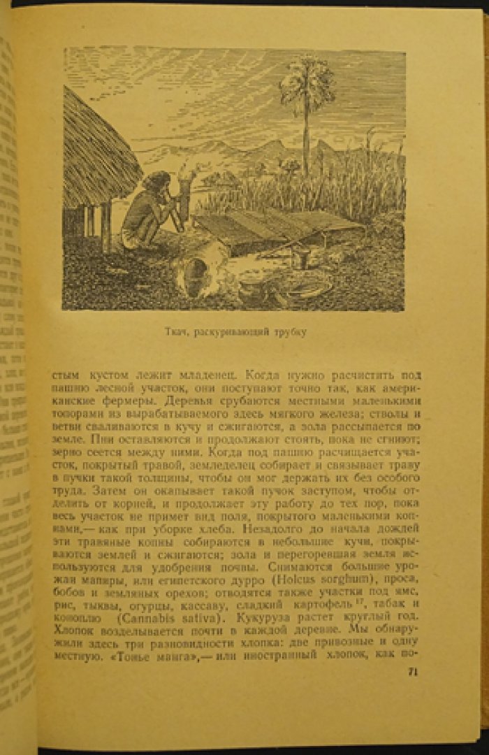 Ливингстон Д., Ливингстон Ч. Путешествие по Замбези с 1858 по 1864 гг.