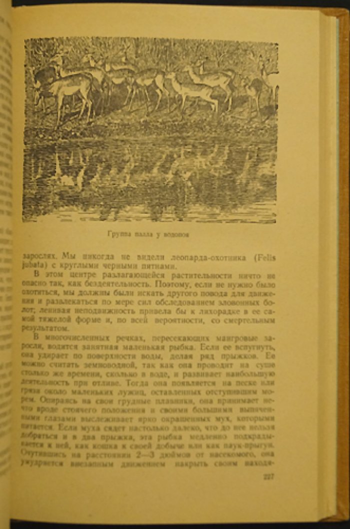 Ливингстон Д., Ливингстон Ч. Путешествие по Замбези с 1858 по 1864 гг.