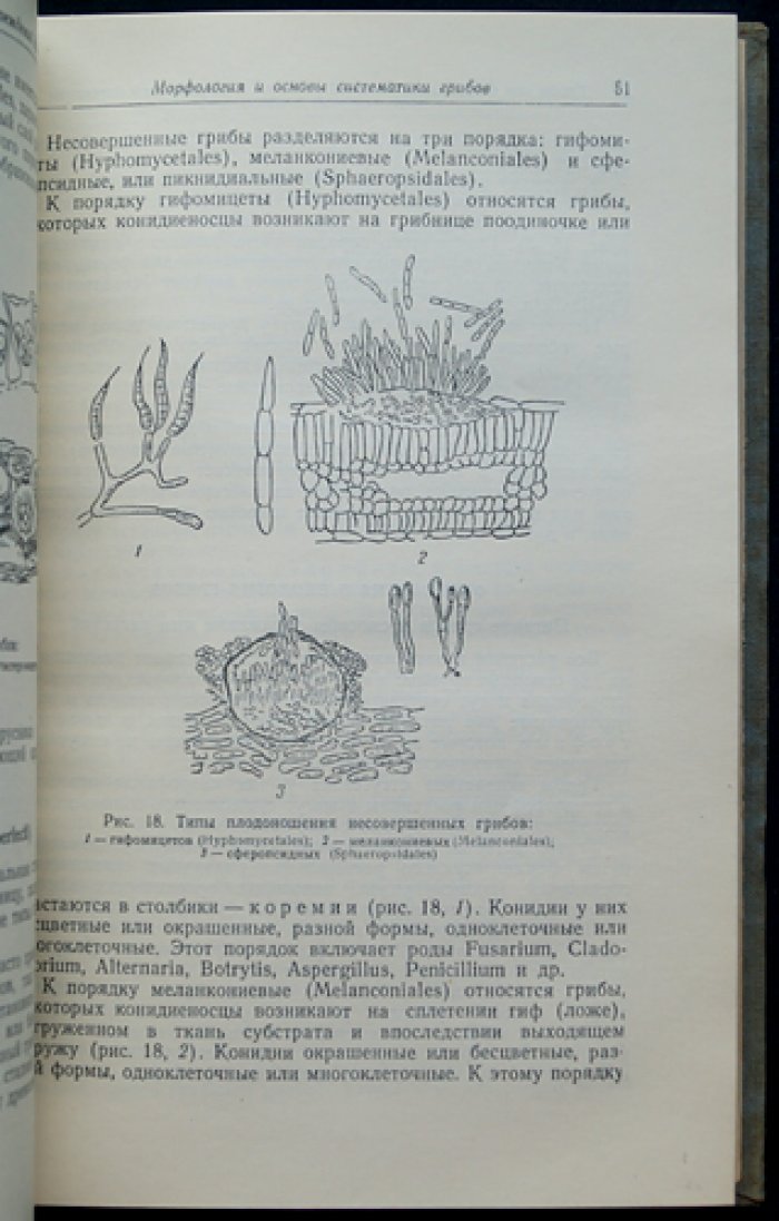 Ванин С.И. Лесная фитопатология.