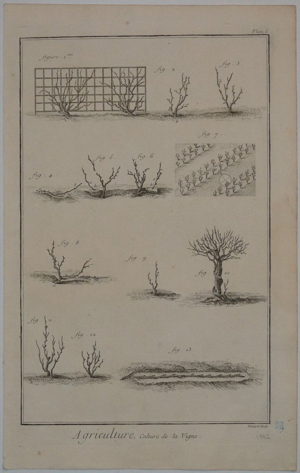 Сельское хозяйство: Виноградарство / Agriculture. Culture de la Vigne
