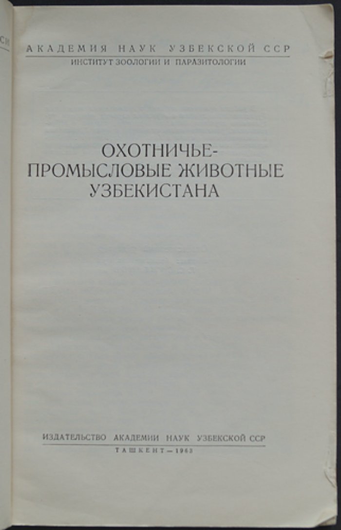 Охотничье - промысловые животные Узбекистана.