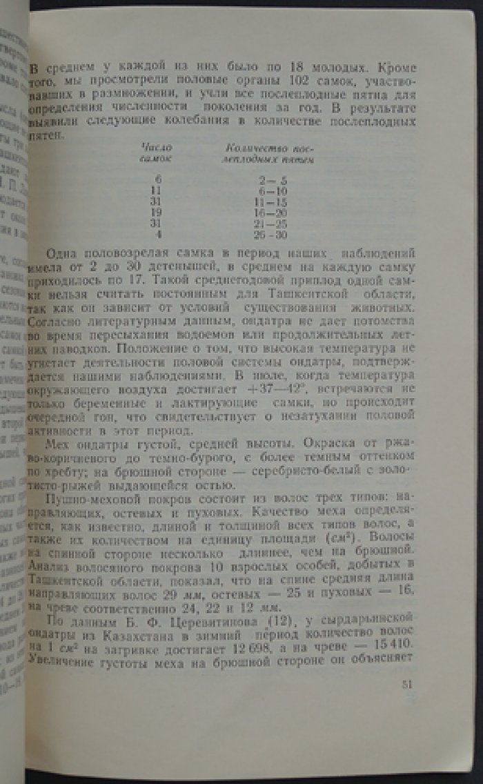Охотничье - промысловые животные Узбекистана.