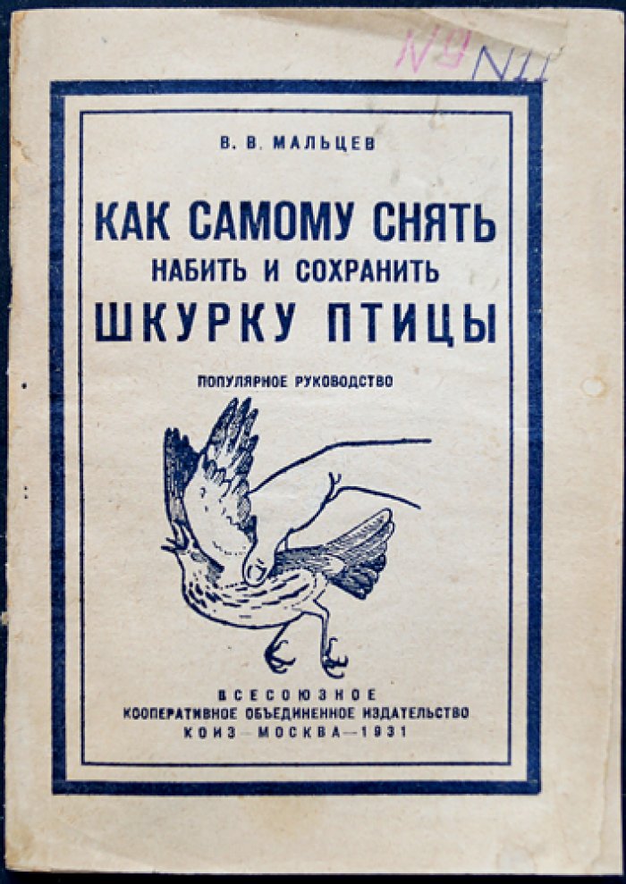 Мальцев В. В. Как самому снять, набить и сохранить шкурку птицы